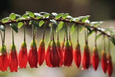 惠州惠城区私人快速借钱网，轻松解决资金难题