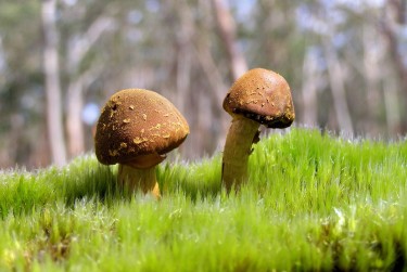 惠州惠城区私人老板放款：轻松融资的秘密通道